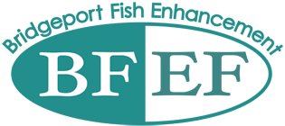 BFEF NEW logo final small